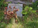 image of grave number 951968